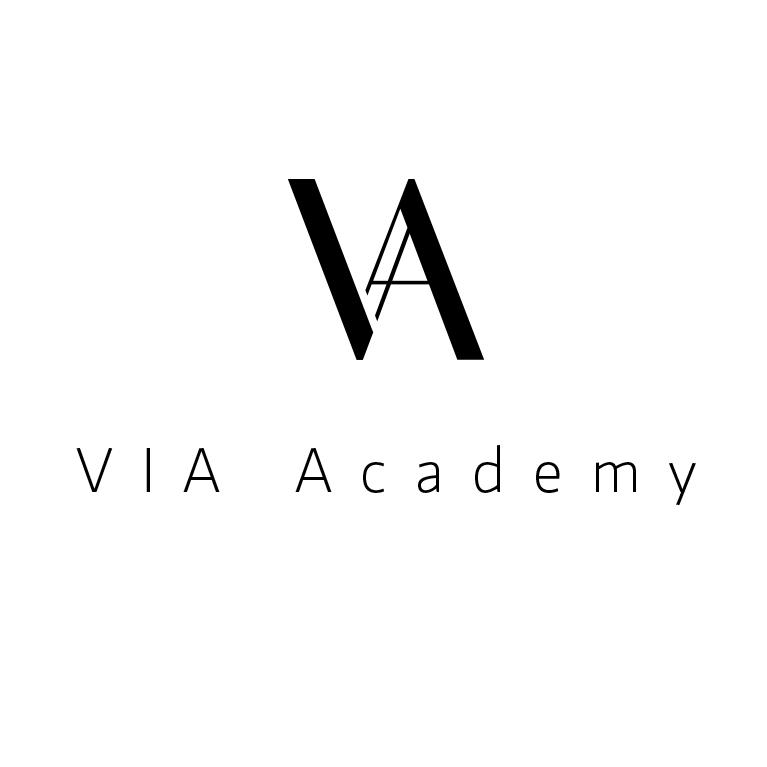 VIA Academy Logo